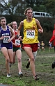 2010NCSXC GD3-718